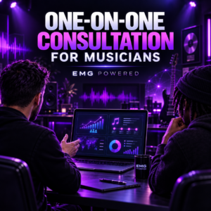 One-on-One Consultation for musicians